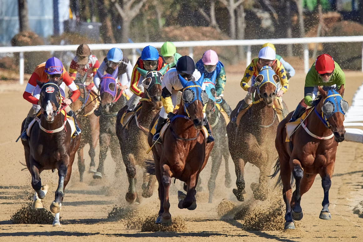 Previewing the Top Contenders and Betting Dynamics for the 2024 Preakness Stakes